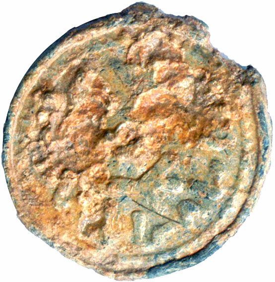 OBRW_E12_REVERSE