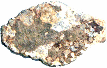 OBRW_M2_REVERSE