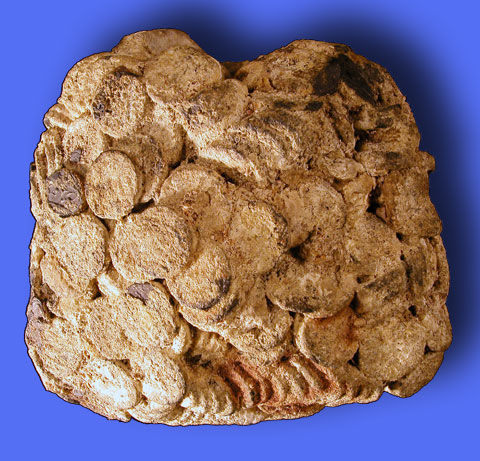 Lump at Smithsonian