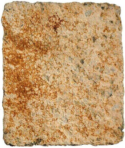 akbda_25c_zn_reverse