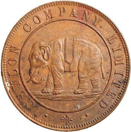 sebastian_mills_c_reverse