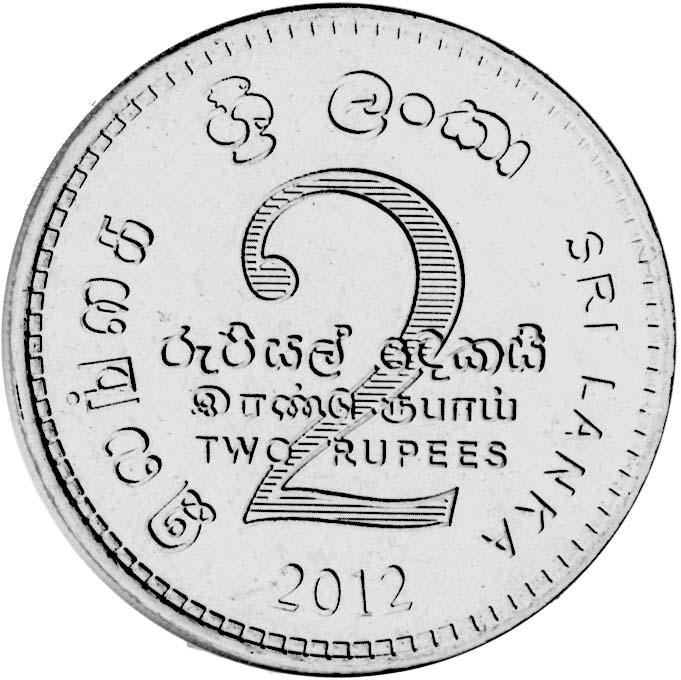 2011_scout100_Rs2_reverse