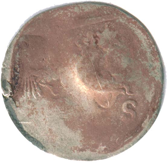 161x_hol_2st_lily_cm_reverse