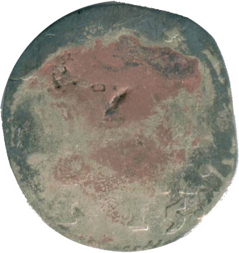 161x_zee_2st_d_reverse