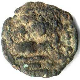 pandya_bull_2rlfish_reverse