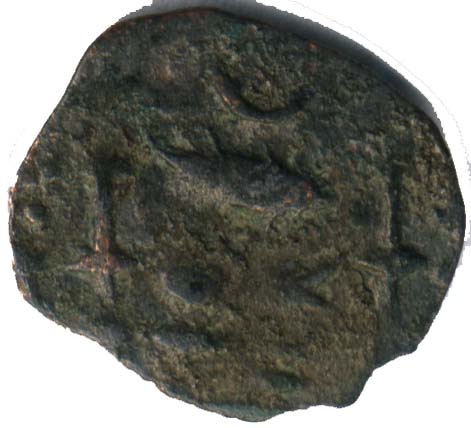 pandya_bull_rl2fish_reverse