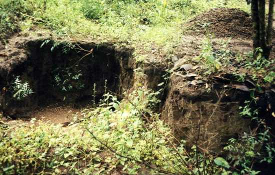 Open pit cut to 4 feet