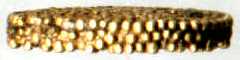 ruhuna_grains_cu_edge
