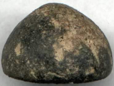 ruhuna_life_seal_side